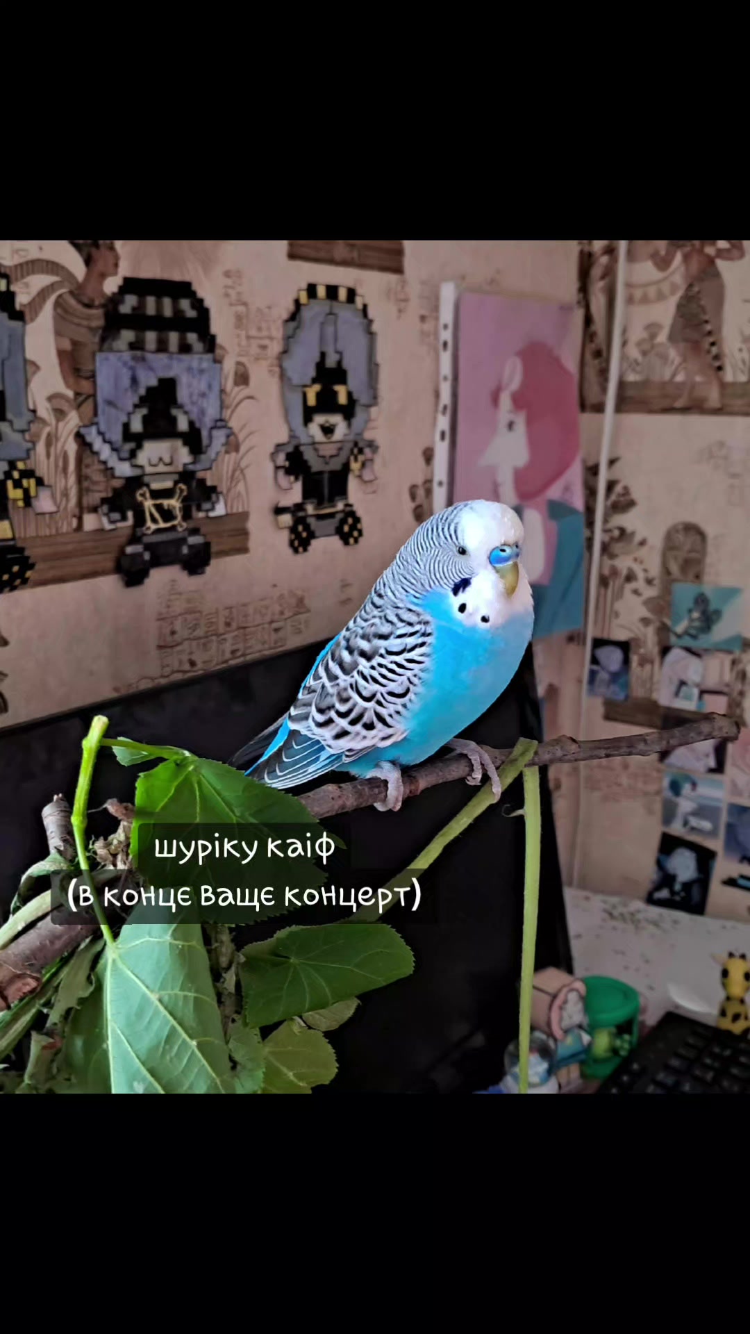 @панкейк соня🇺🇦|🌍🍝/ᵃⁿᵈ ᵒⁿᵉ