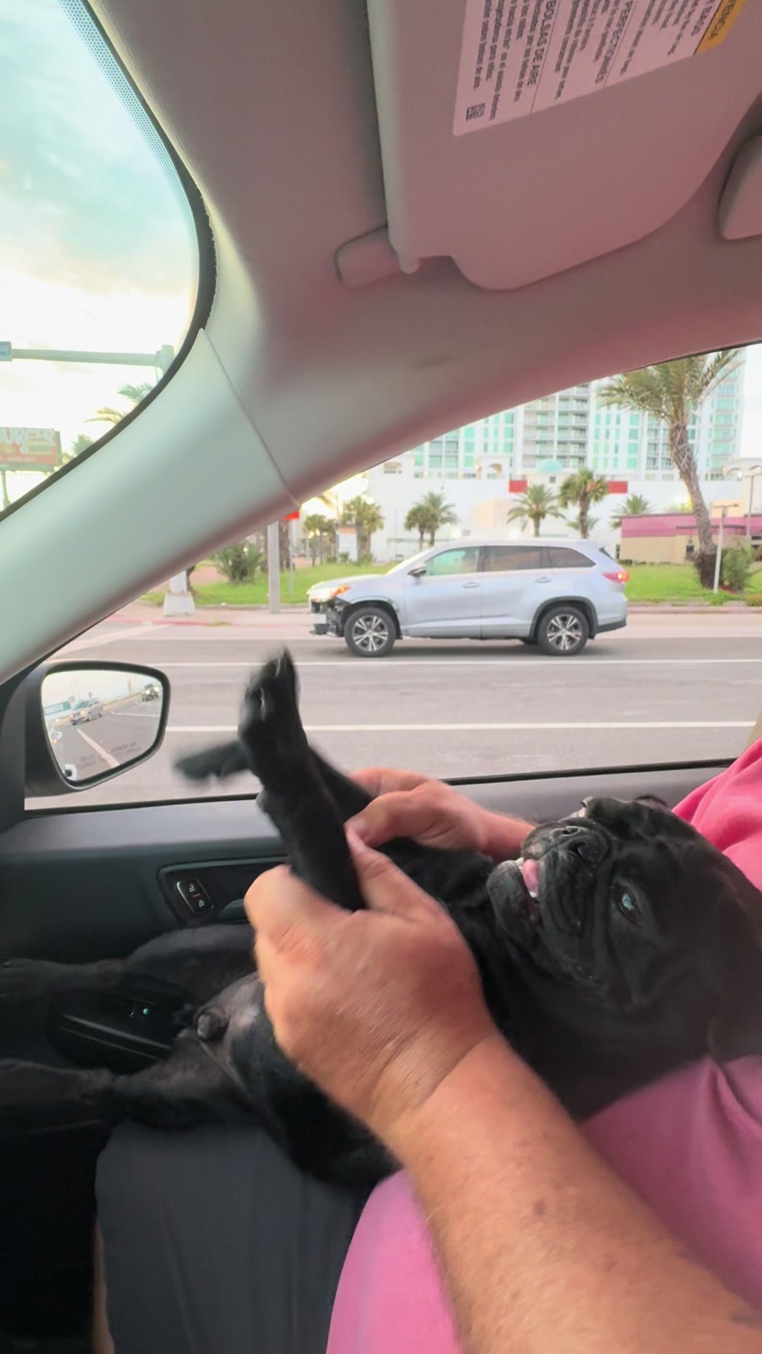 @ThreeCrustyPugs