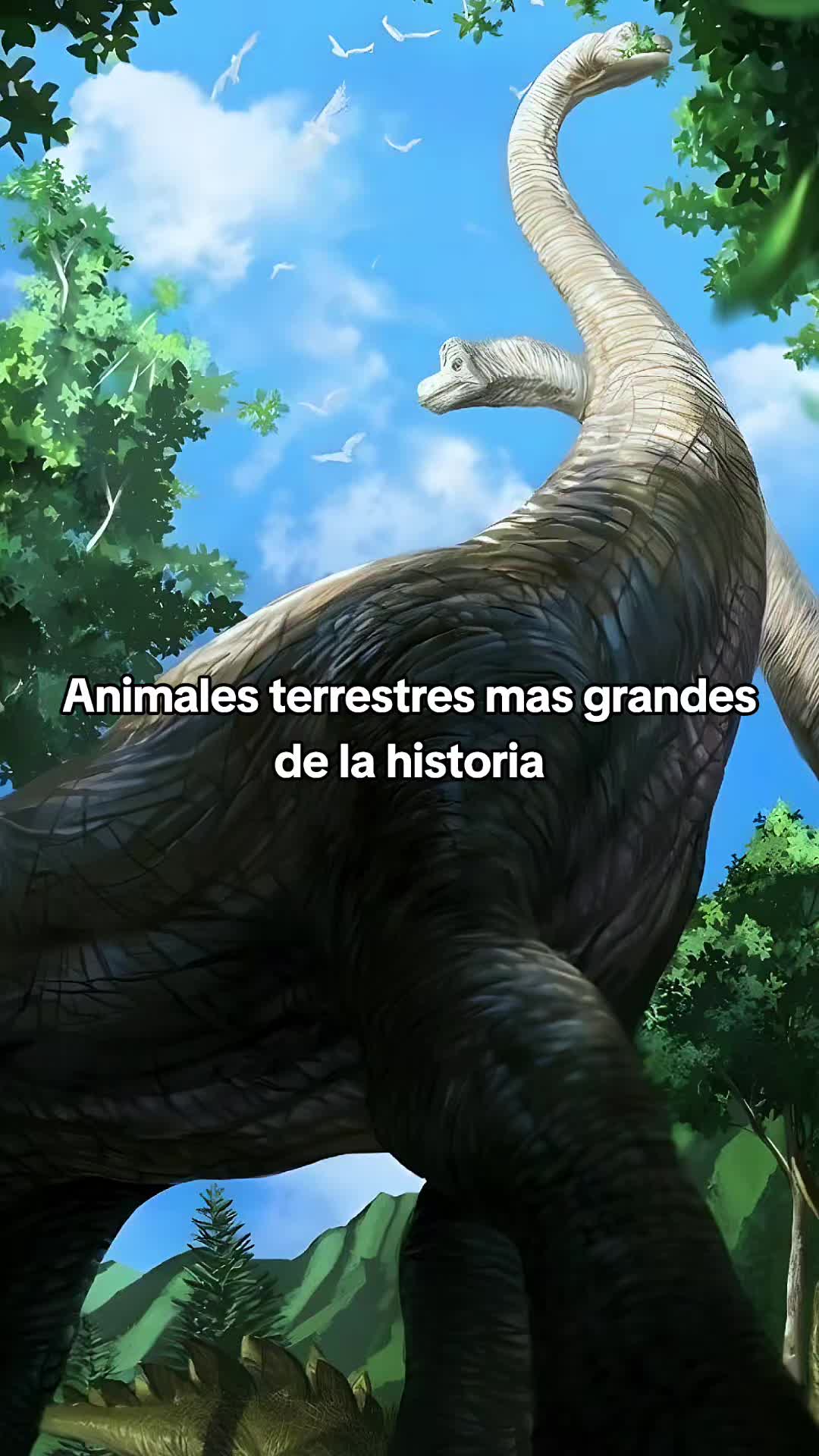 @Viva Historia