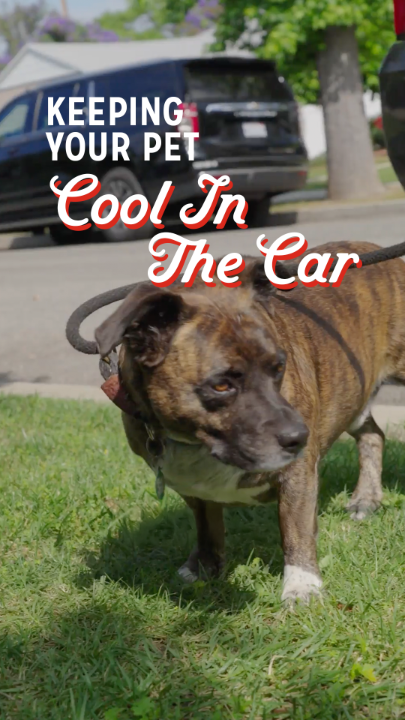 @AAA - The Auto Club Group