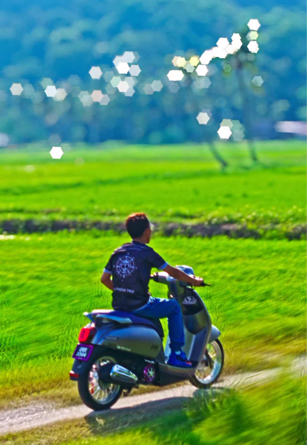 @Abg.View