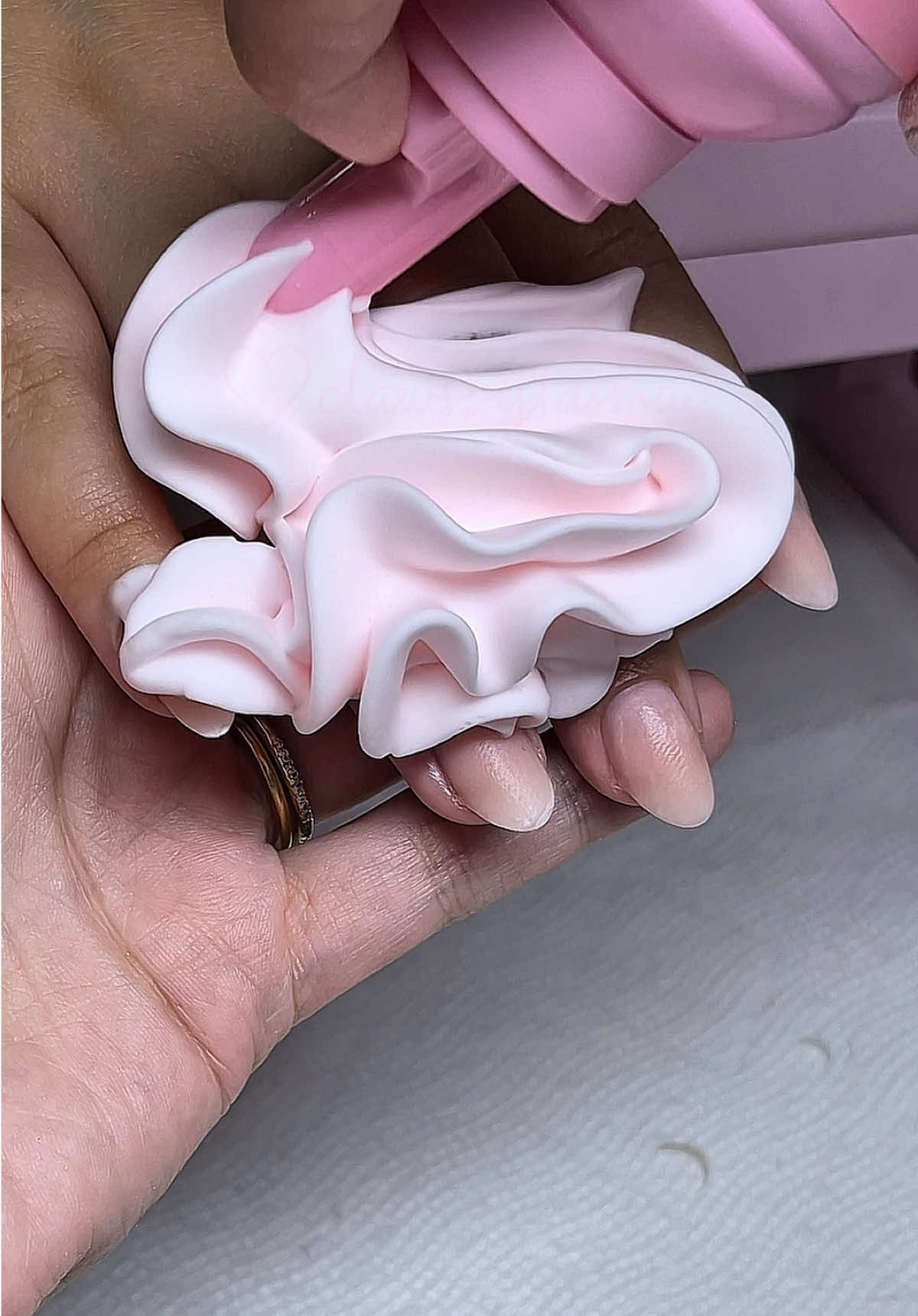 @clawsbytasmia ✨