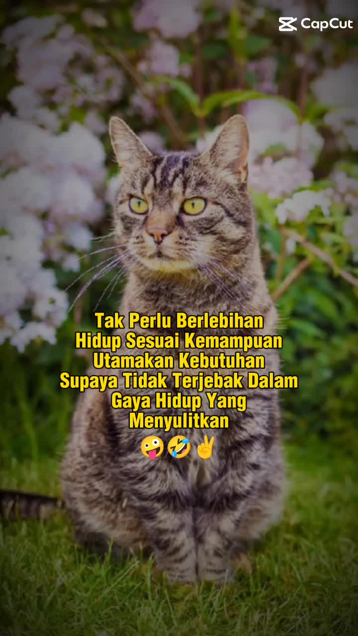 @🍂 *M00N_V31L*🍁