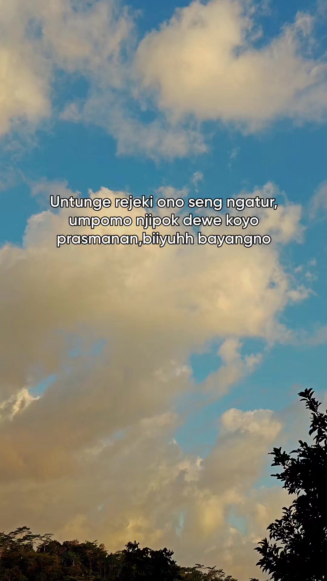 @aagscobra