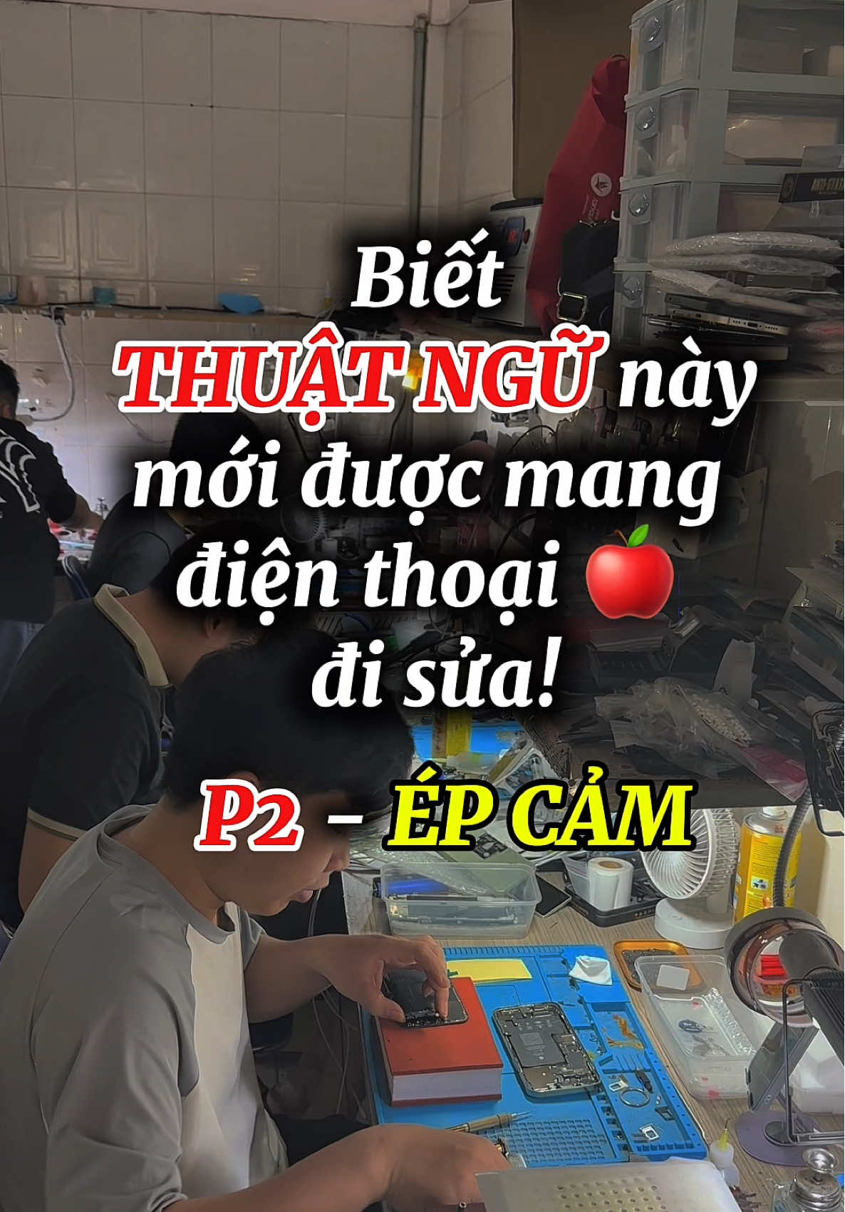 @Di động Mobile Z