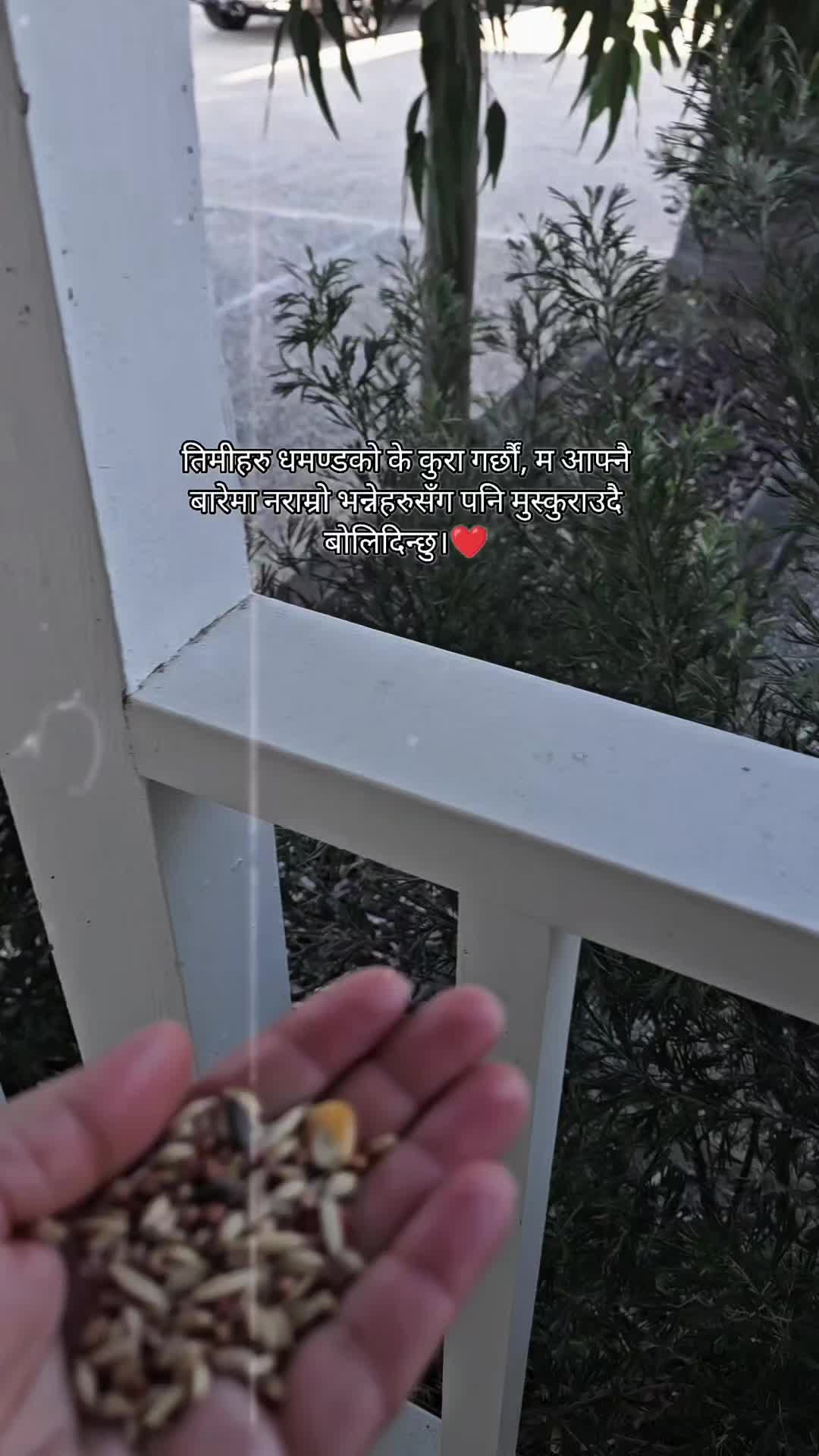 @Isha Rayamajhi🇳🇵🇦🇺