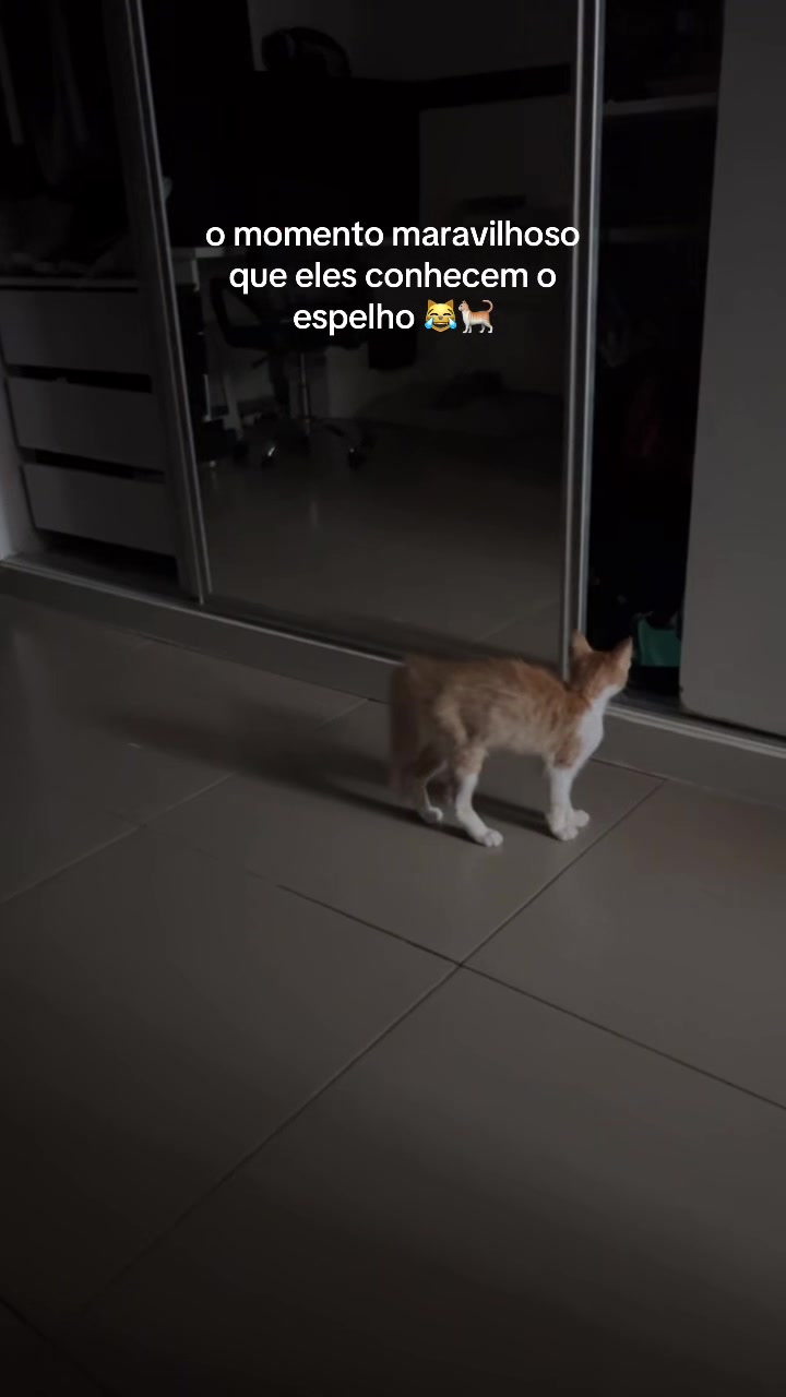 @gabi don&eacute; ✨