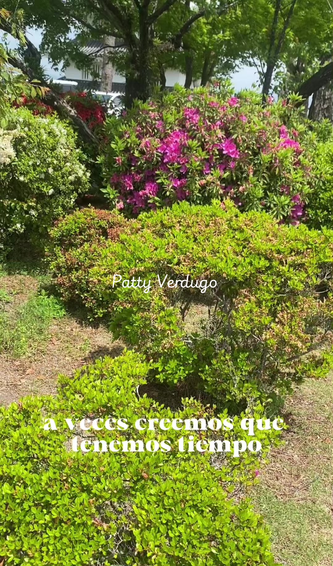 @pattyverdugomx