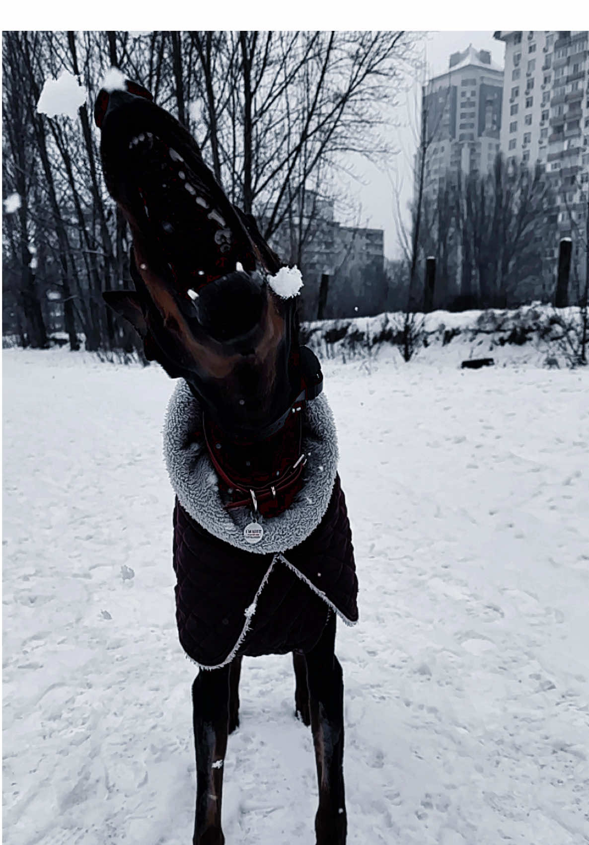 @evillwithin
