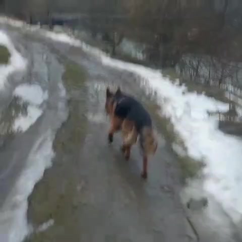@МАТЬ ДРАКОНІВ🤣