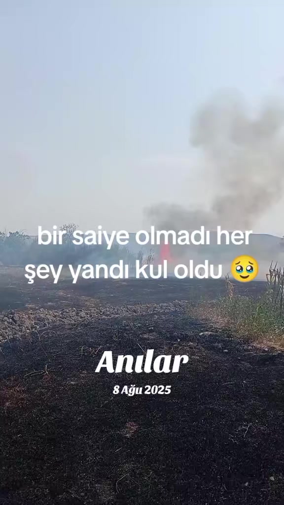 @Sevdiyimden beze bilmirem ❤️