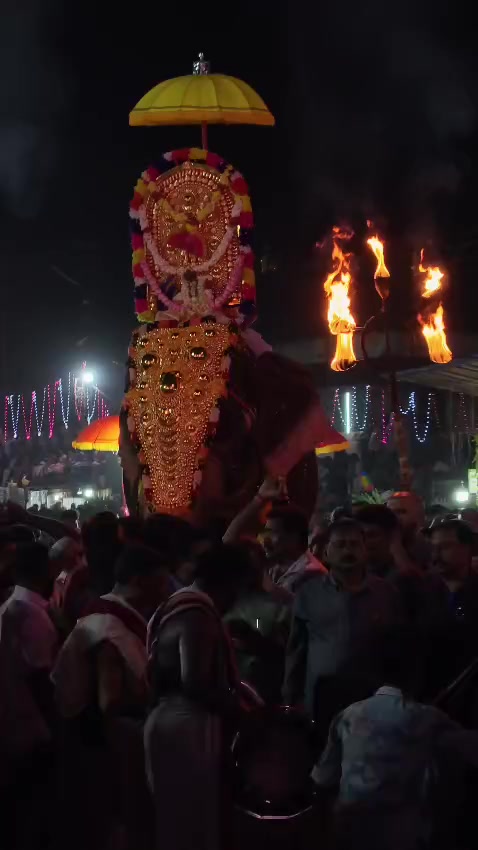 @sarashmohanan1985