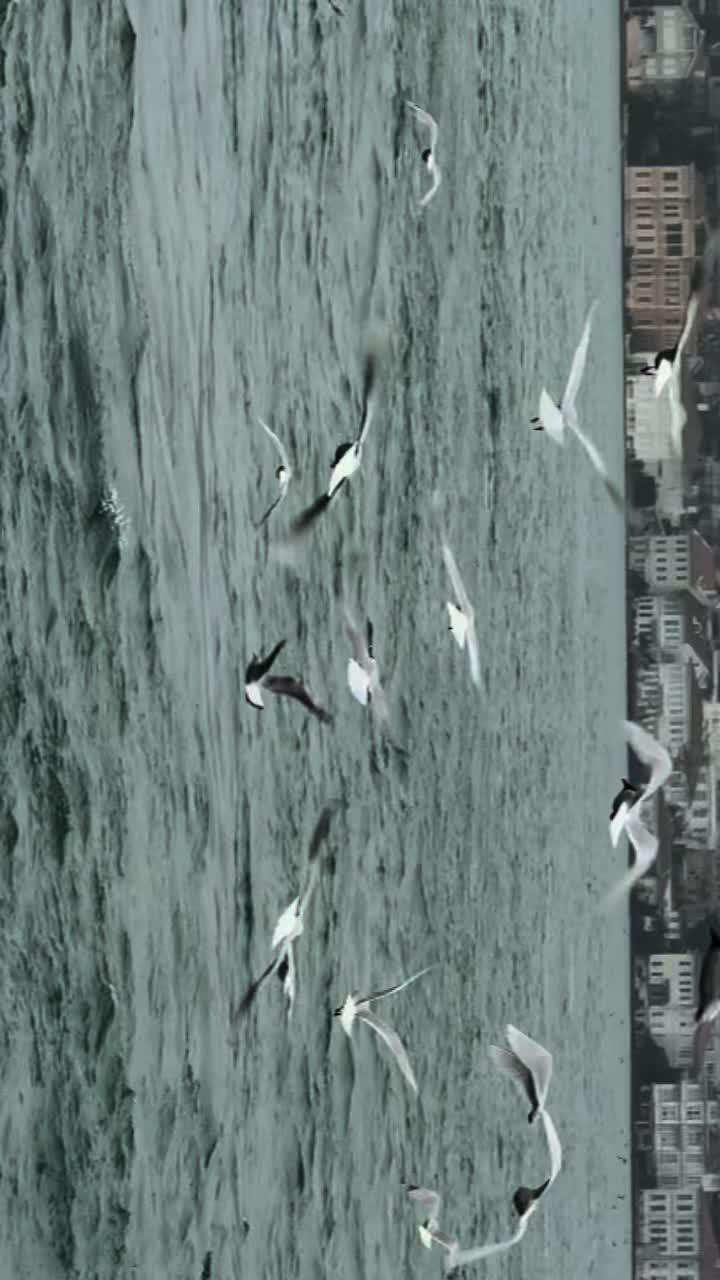 @Songül haydarpaşa