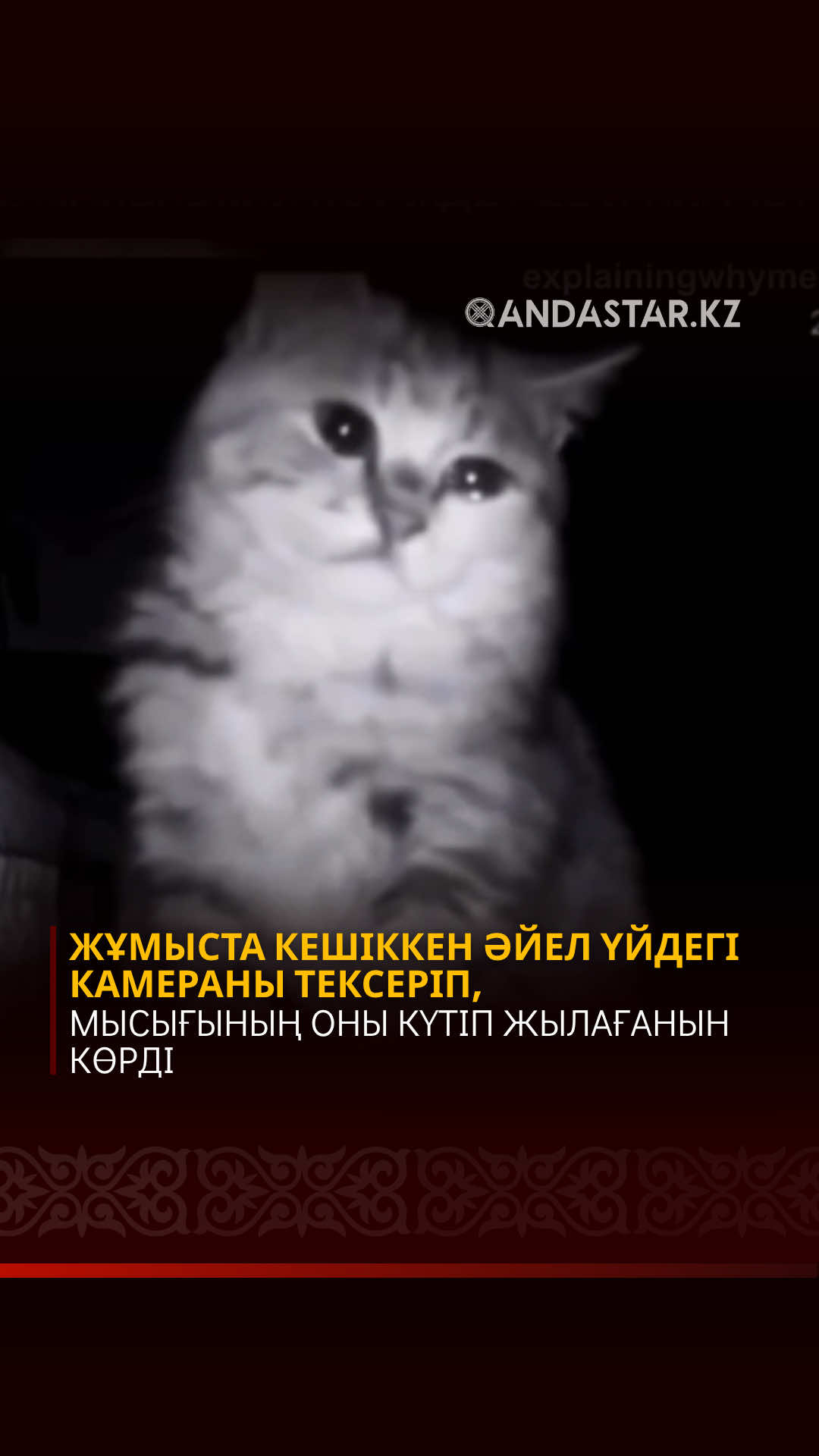 @Qandastar.kz