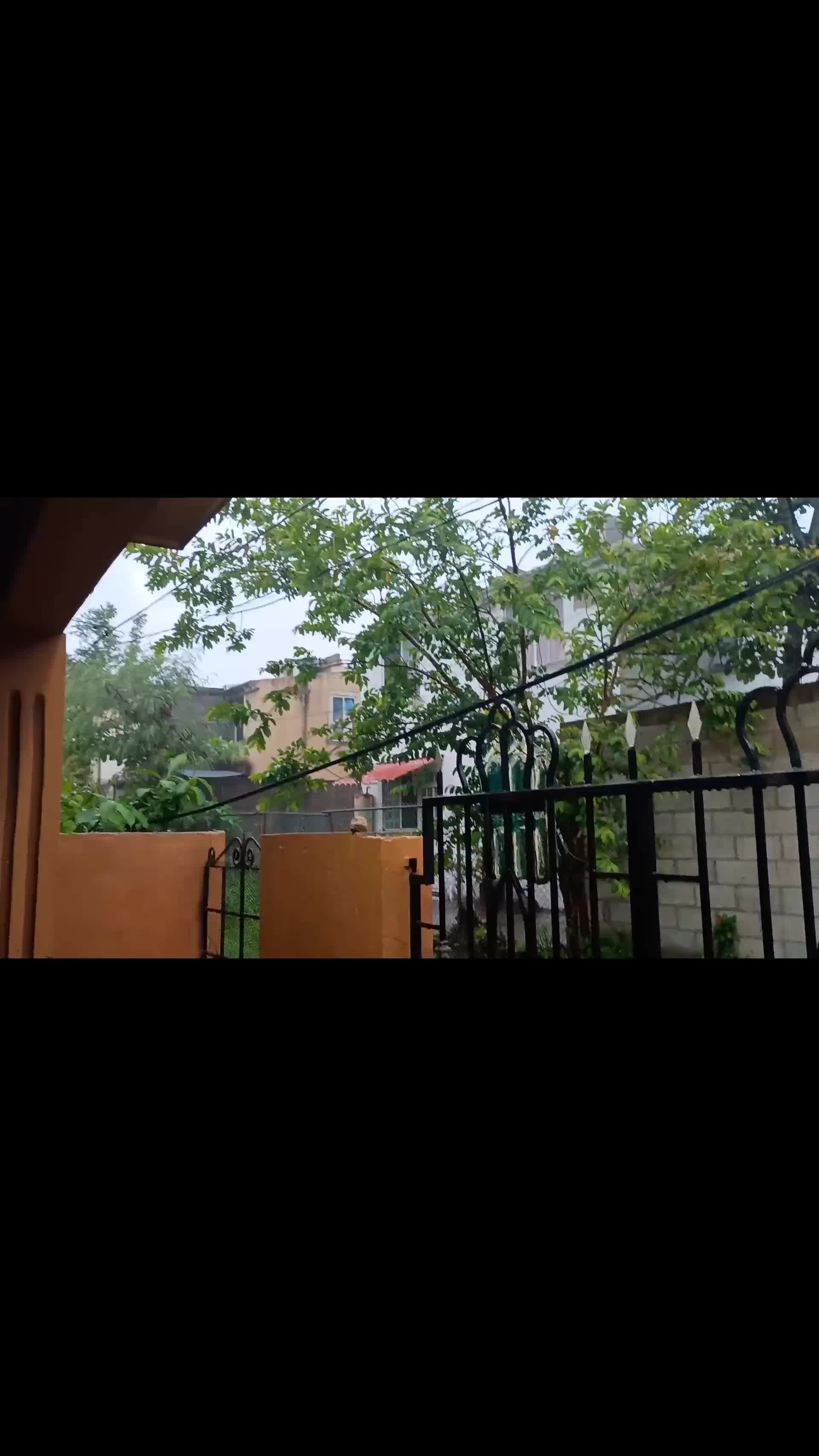 @Arc_avo