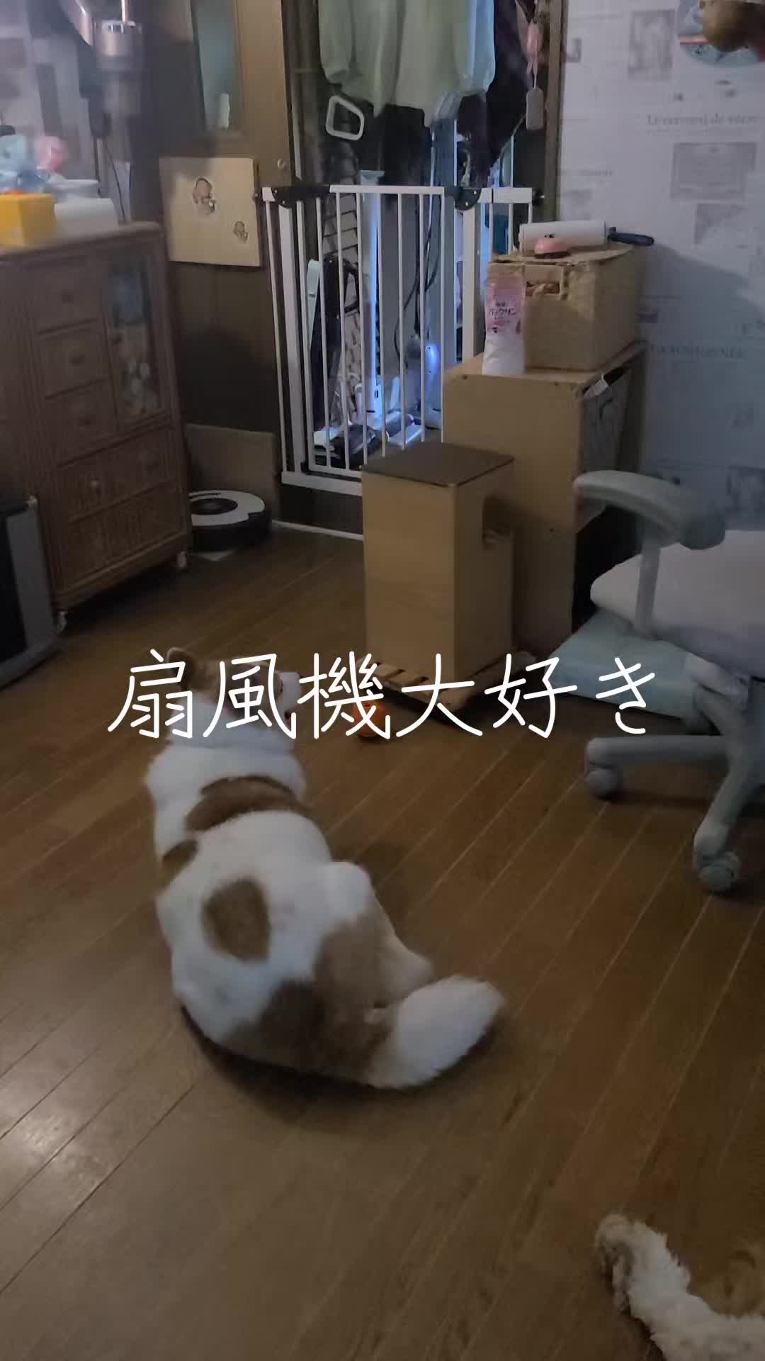 @沙亜代