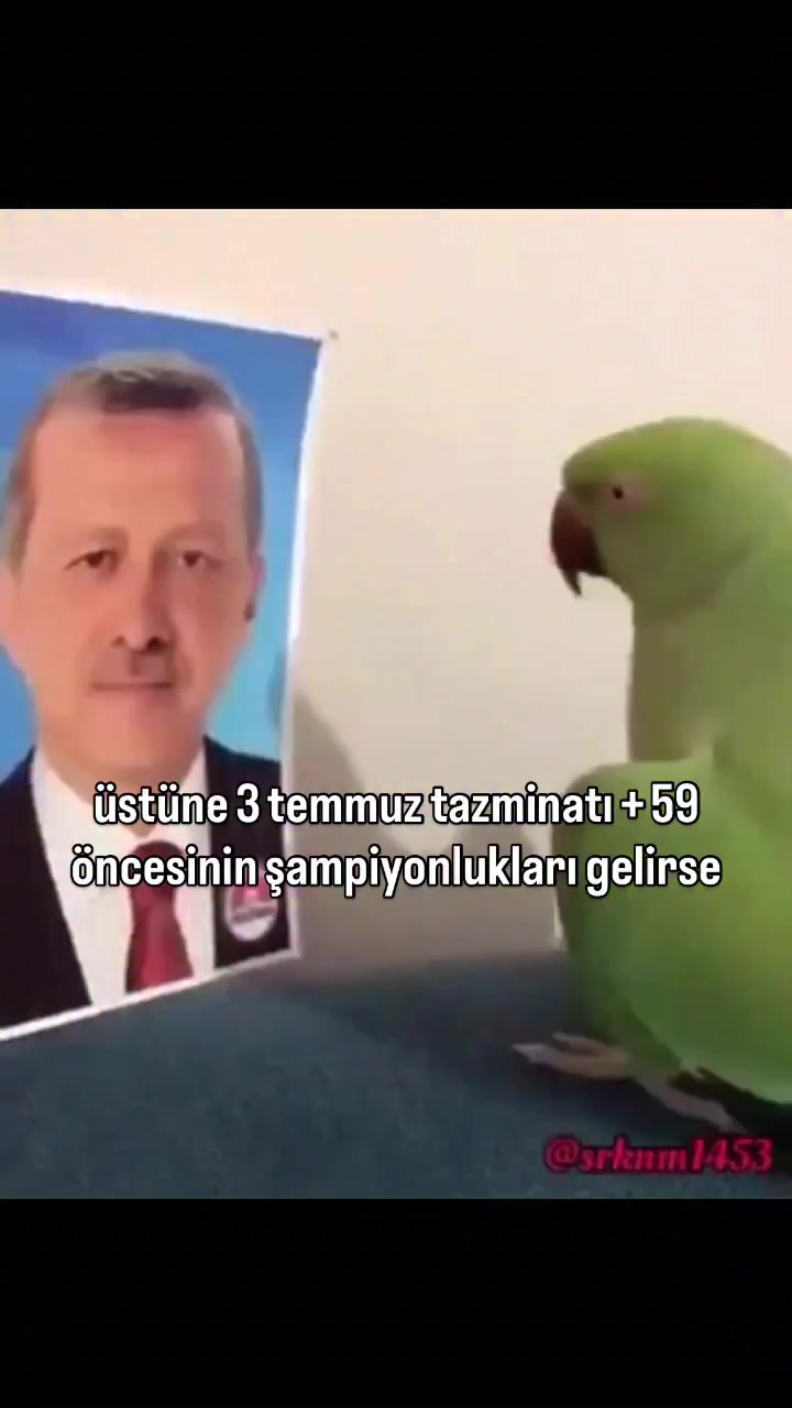 @Mesutta