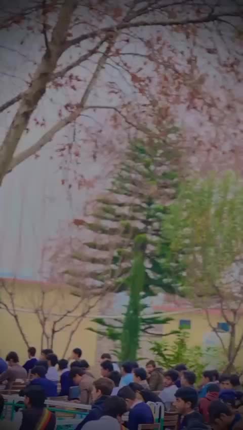 @𝙎𝙮𝘾𝙤𝙊 𝙈𝙚𝙃𝙧𝙊𝙤💀