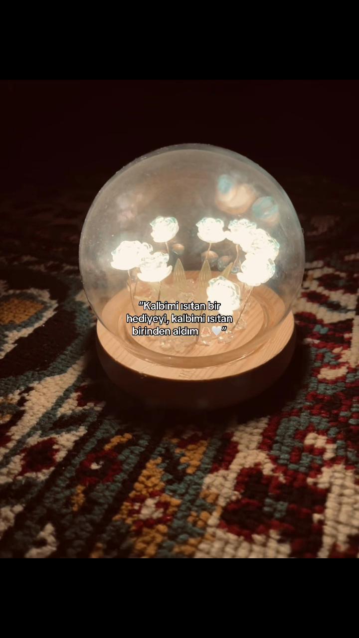 @“𝓝.𝓠”