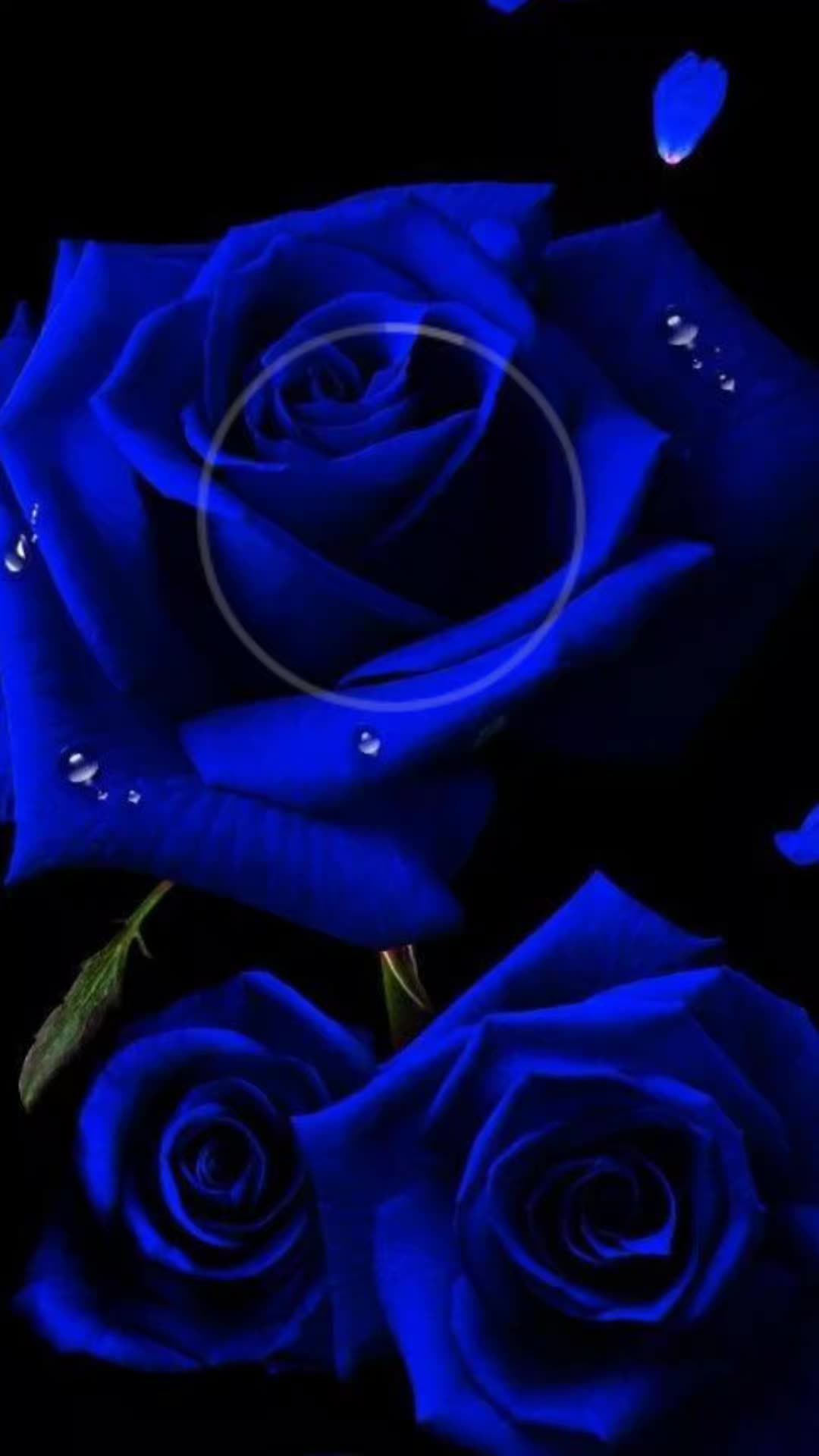 @hayat nereye gidiyor