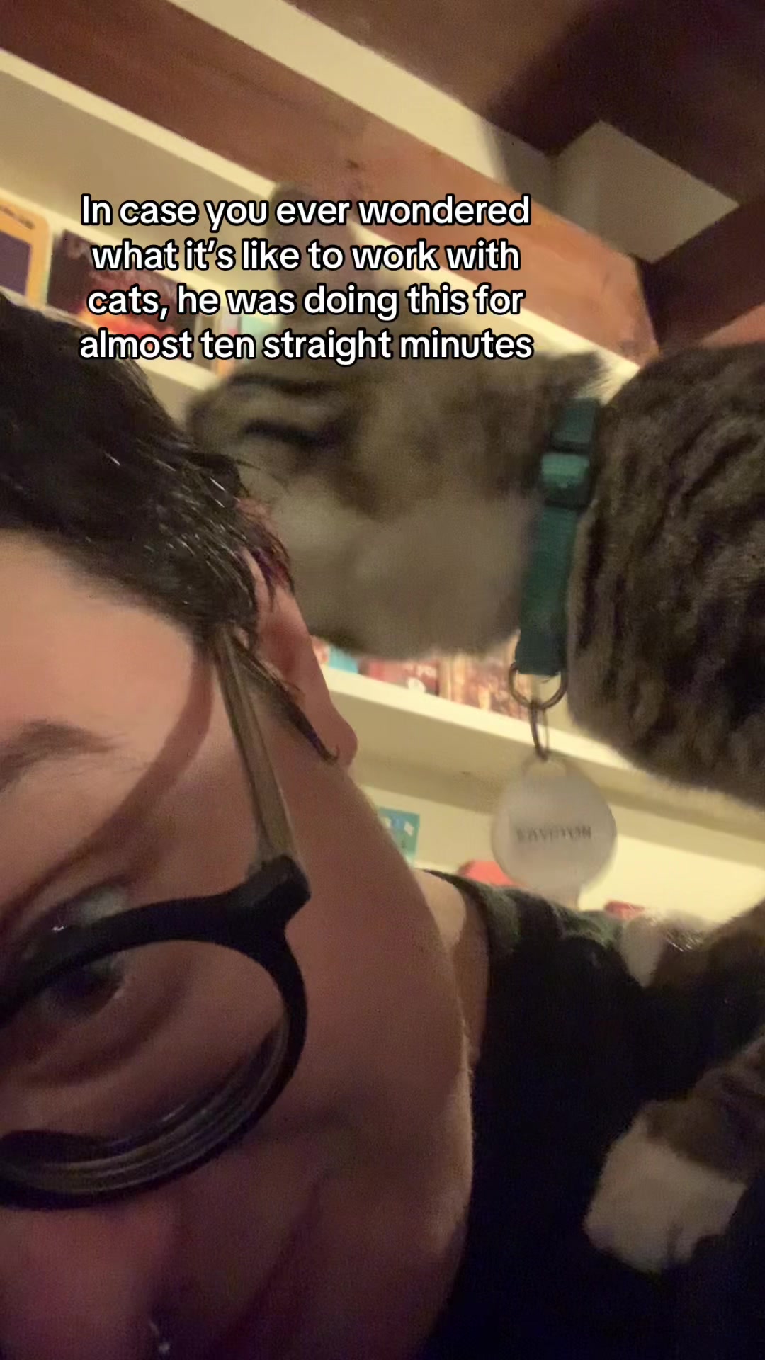 @Kai