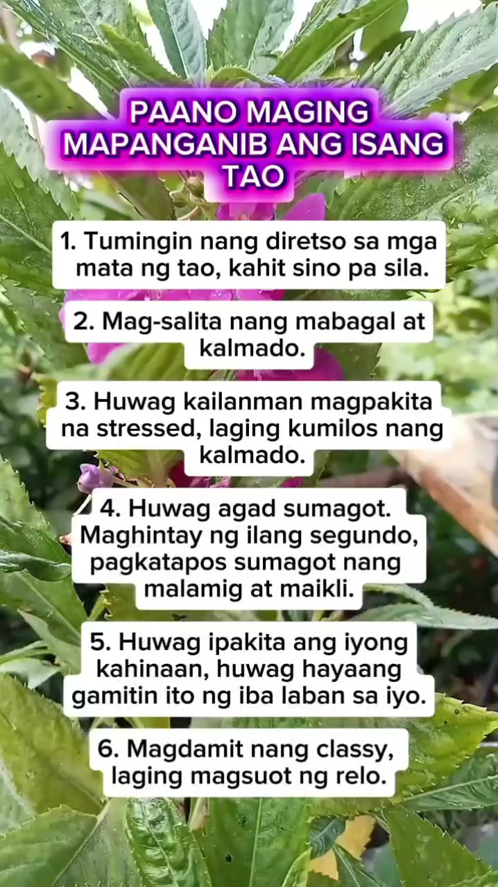 @🐝Tala Hives🐝