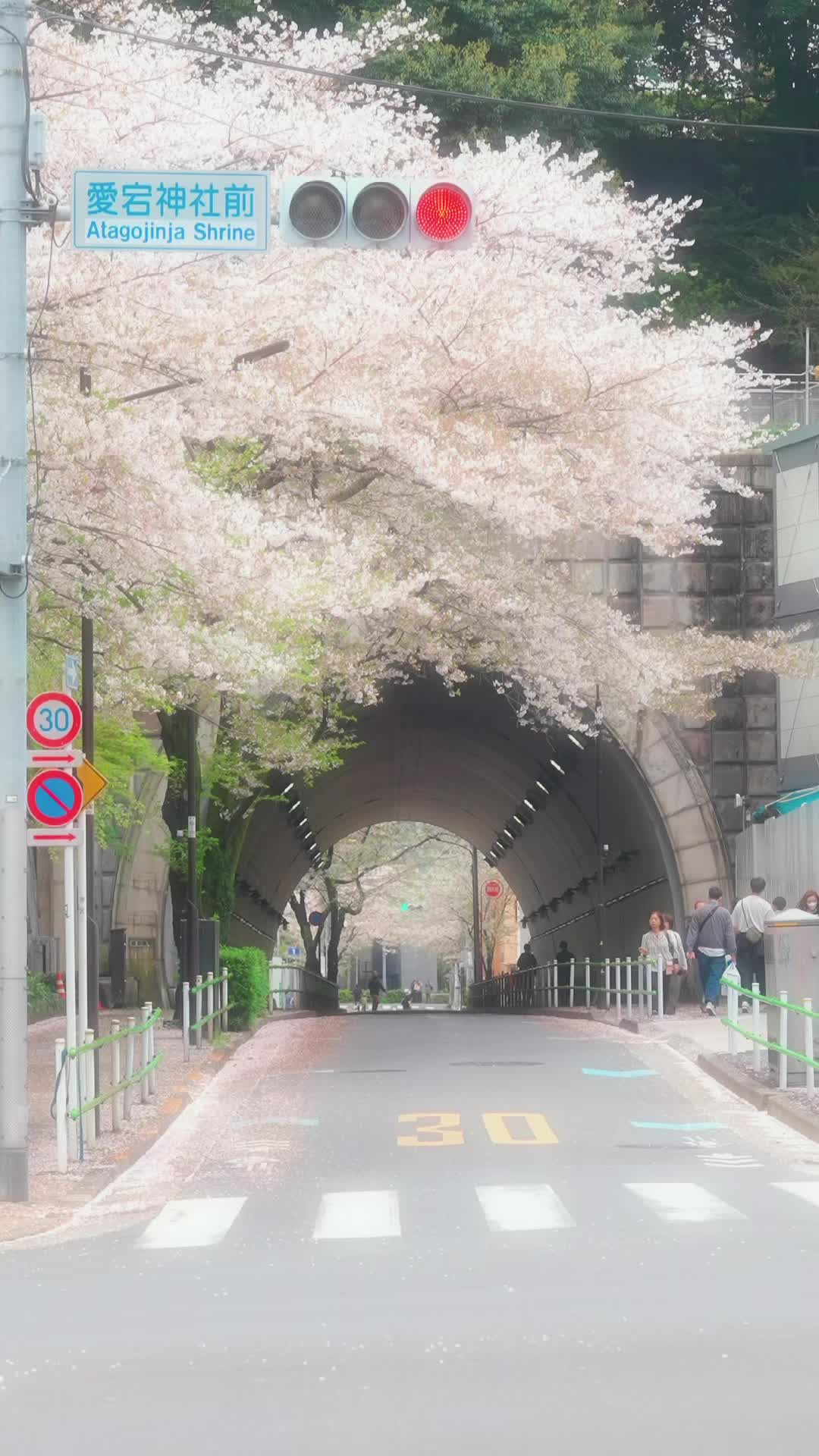 @Yuki[魅力ある景色の記録]
