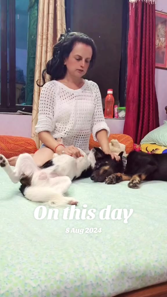 @punjita