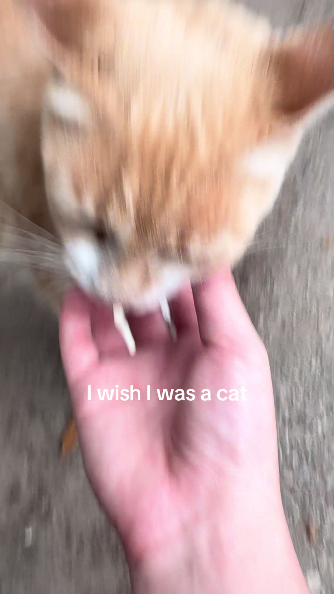 @Flarpppp