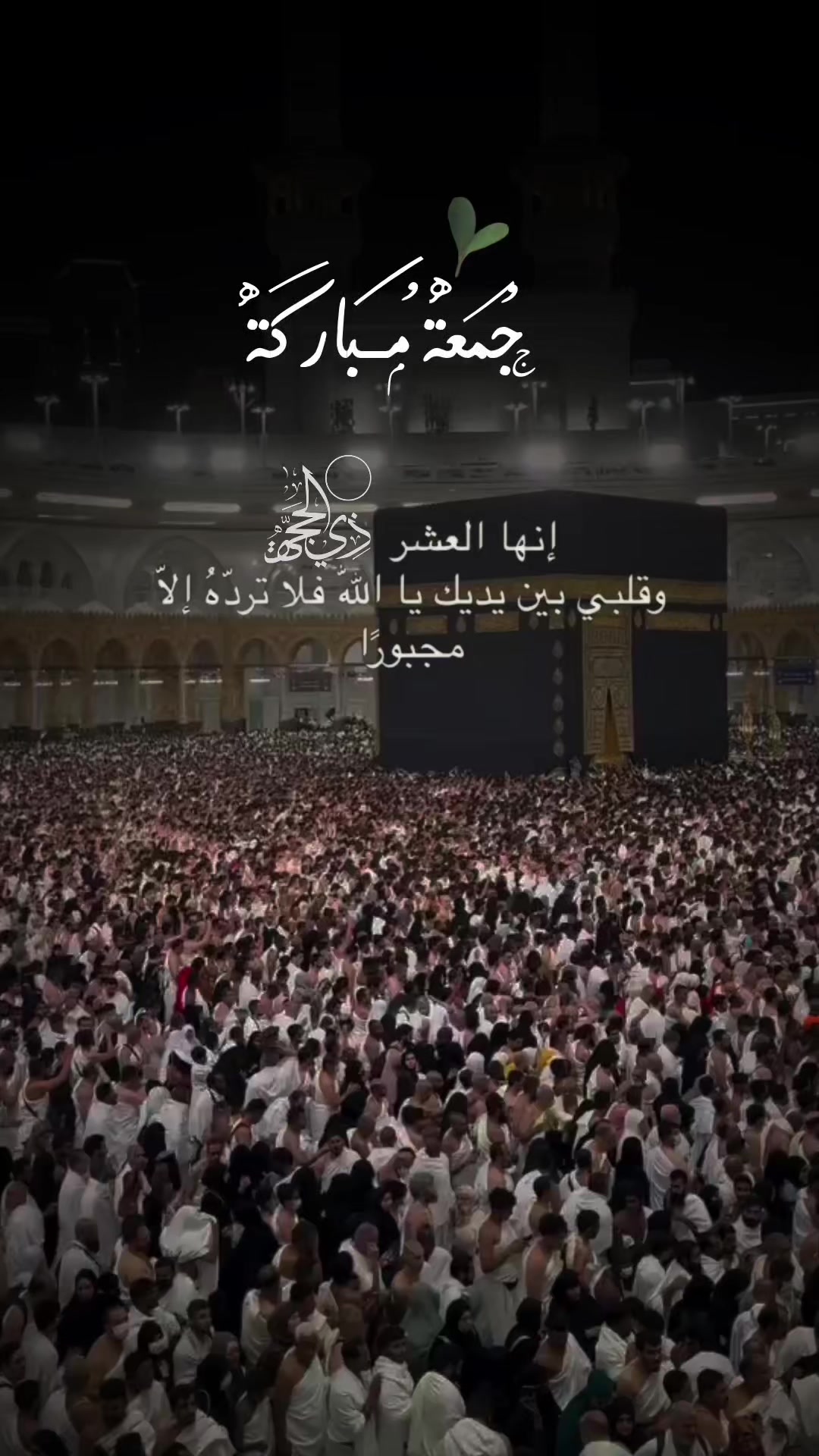 @OM Zahreldin