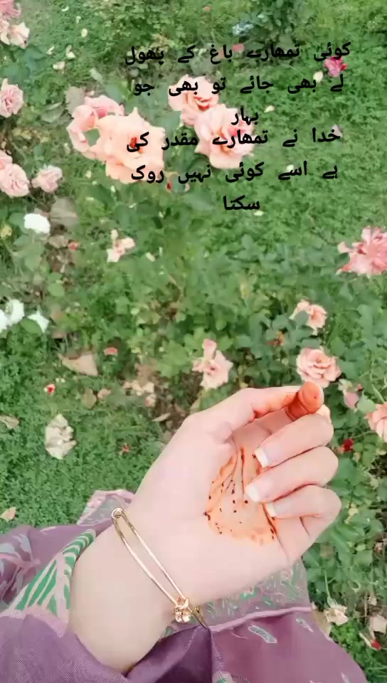 @NAIMA ABBASI♥️