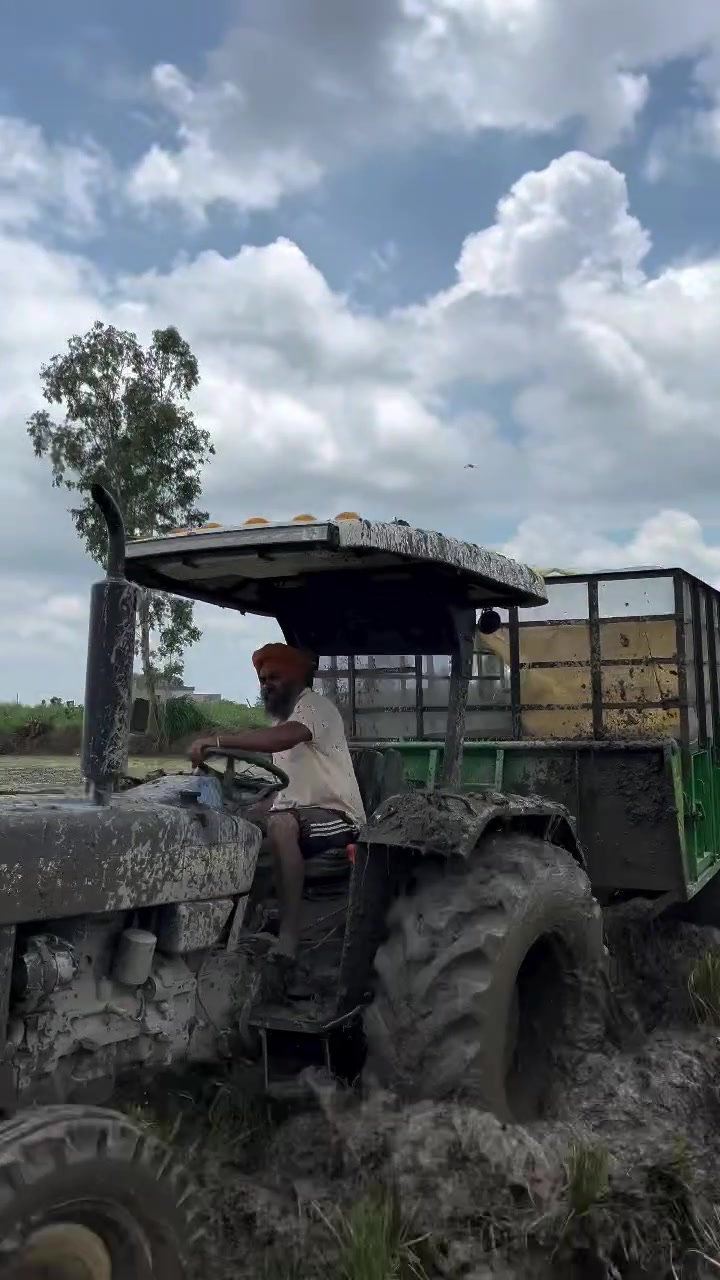 @☠️Tractor lovers💪🏻