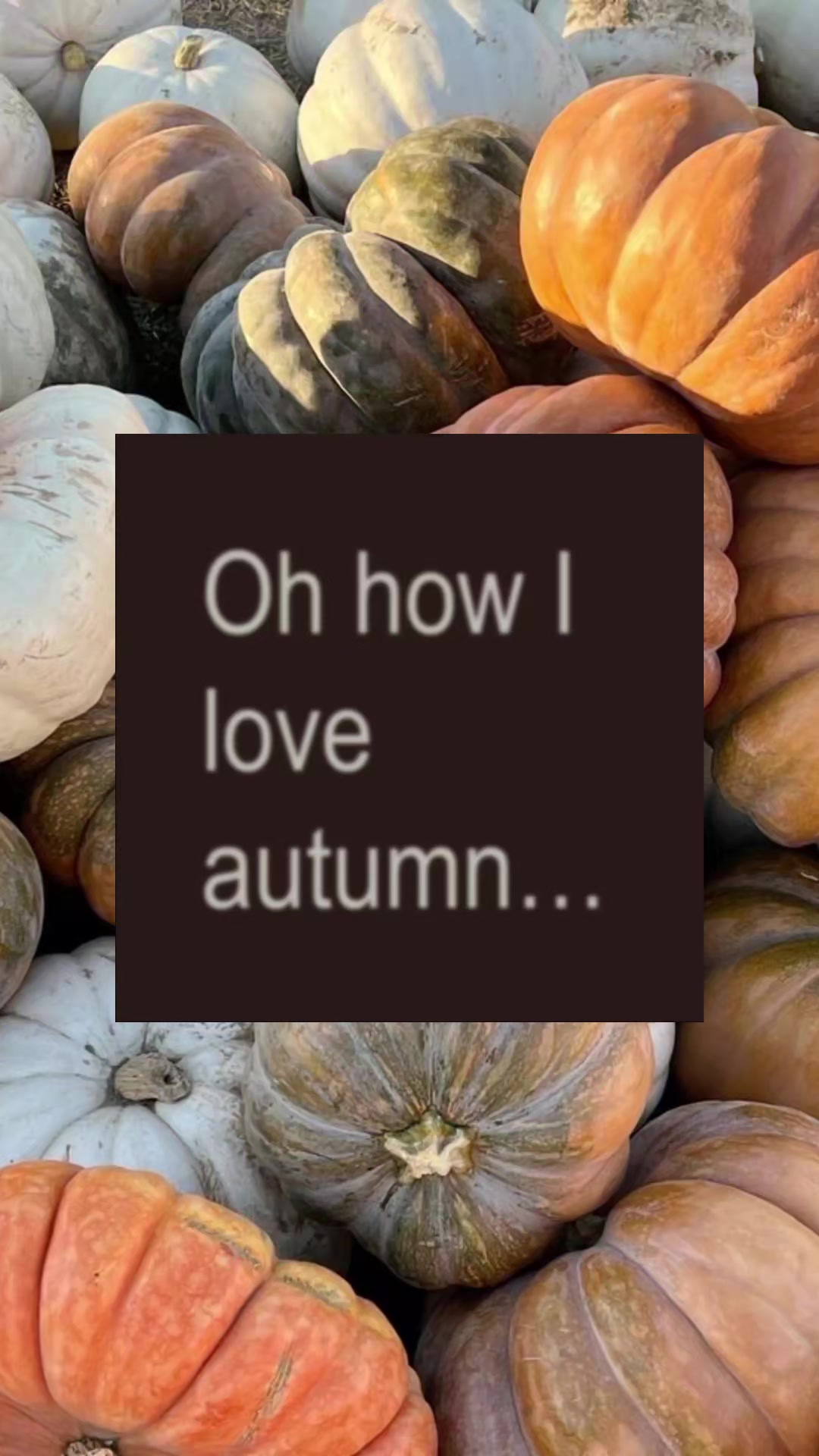 @Дáри21🍂⭐️🍁