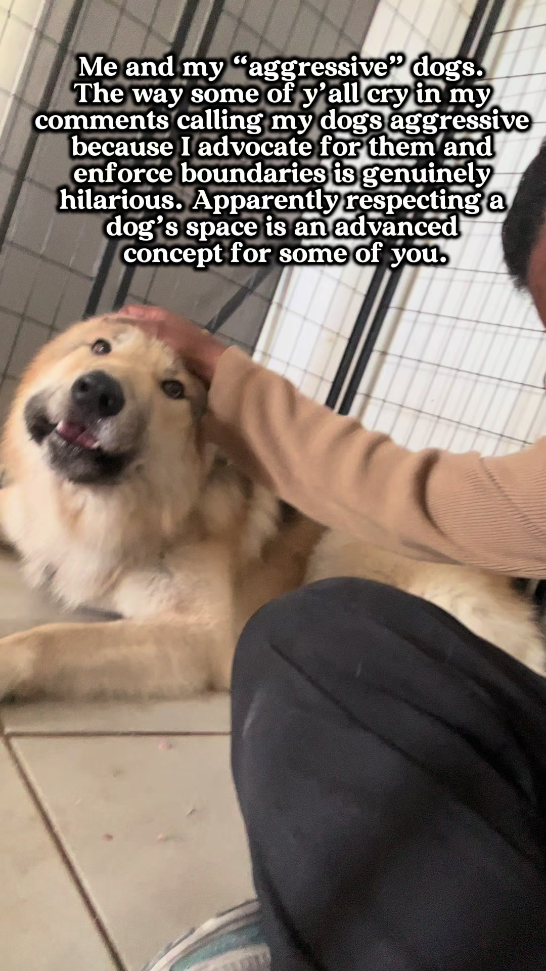 @Neko, Tokahli and Bear