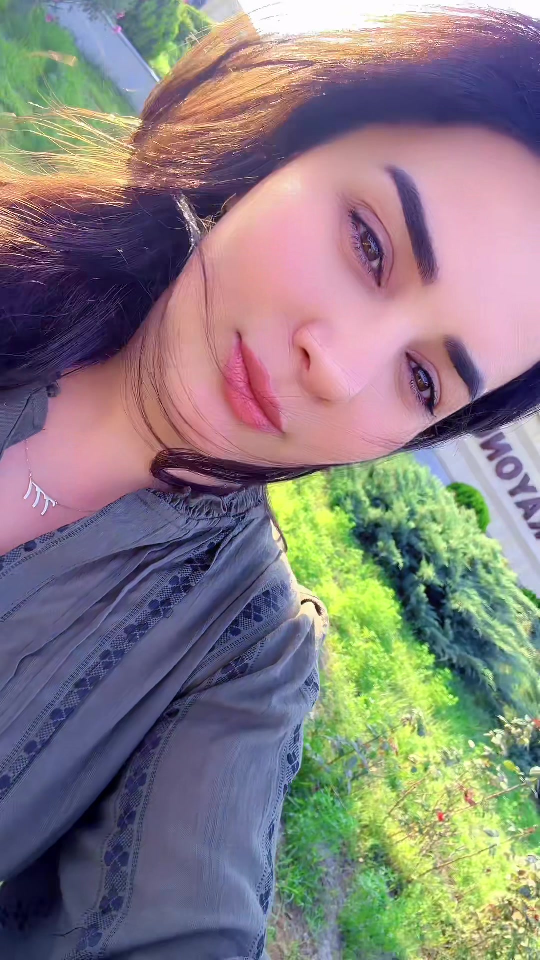 @Damla_inşaat_Damörtükleri