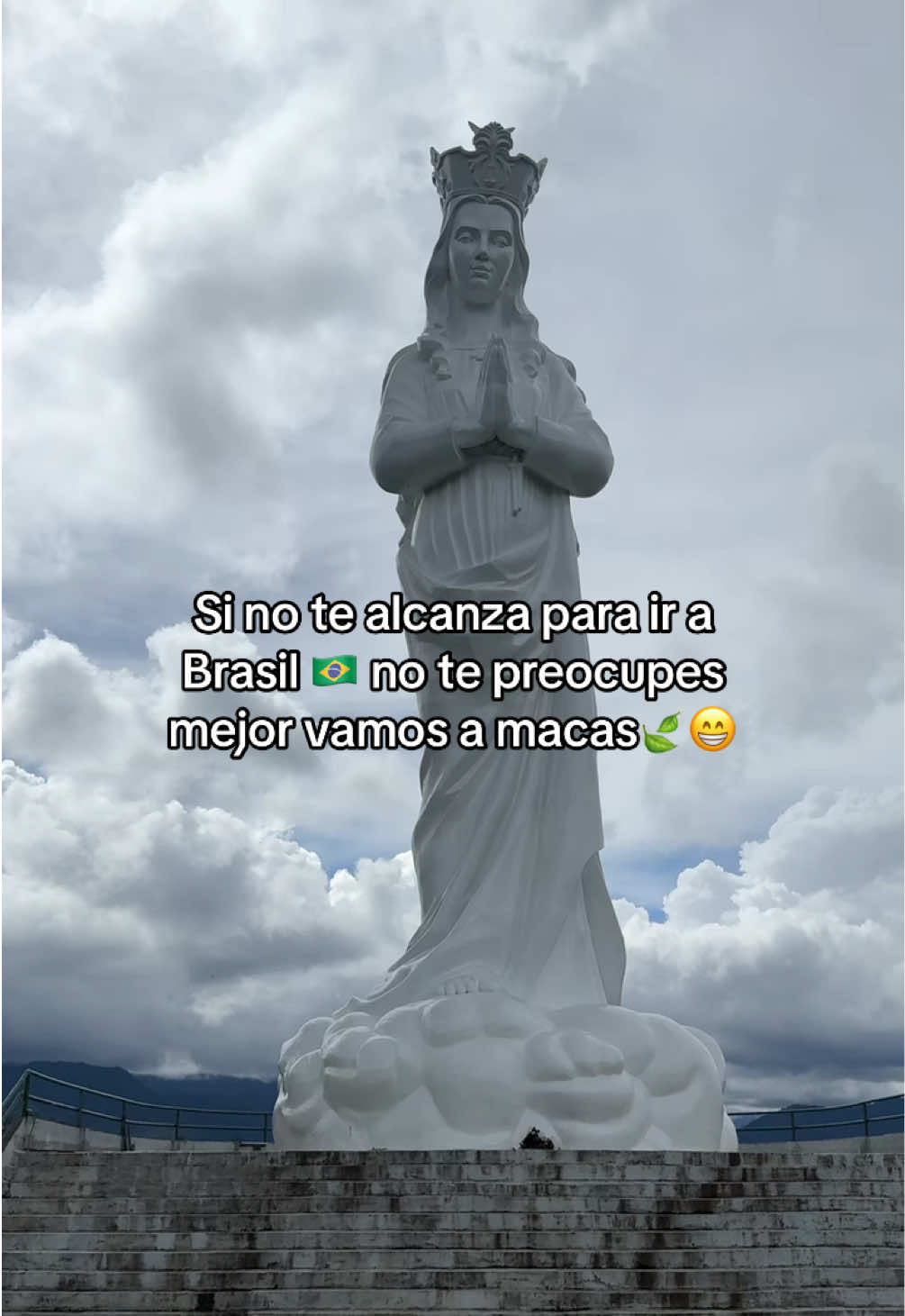 @Elvis 🍃