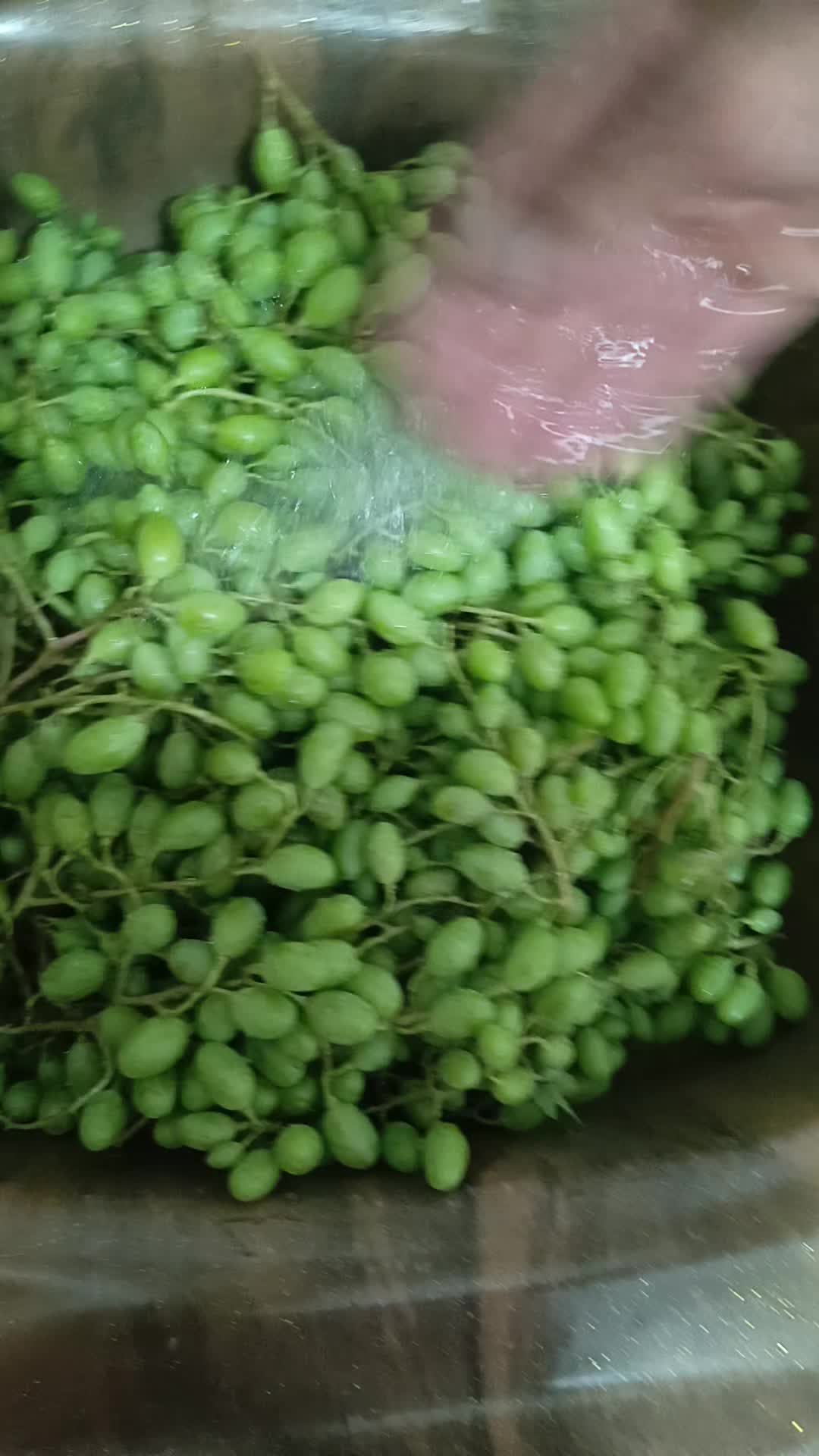 @๐ฏ๐ด๐ู
ุญู
ุฏ ๐๐ฏ๐ด