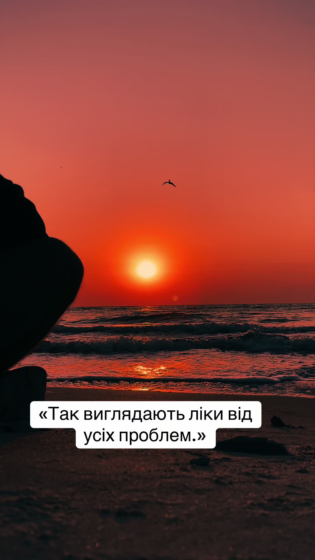 @s.a.s.h.a7.7.7