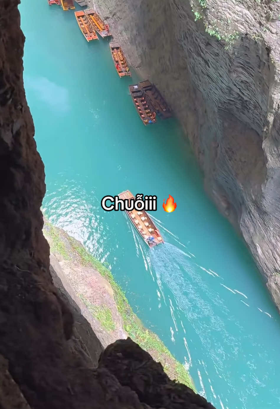 @𝓵