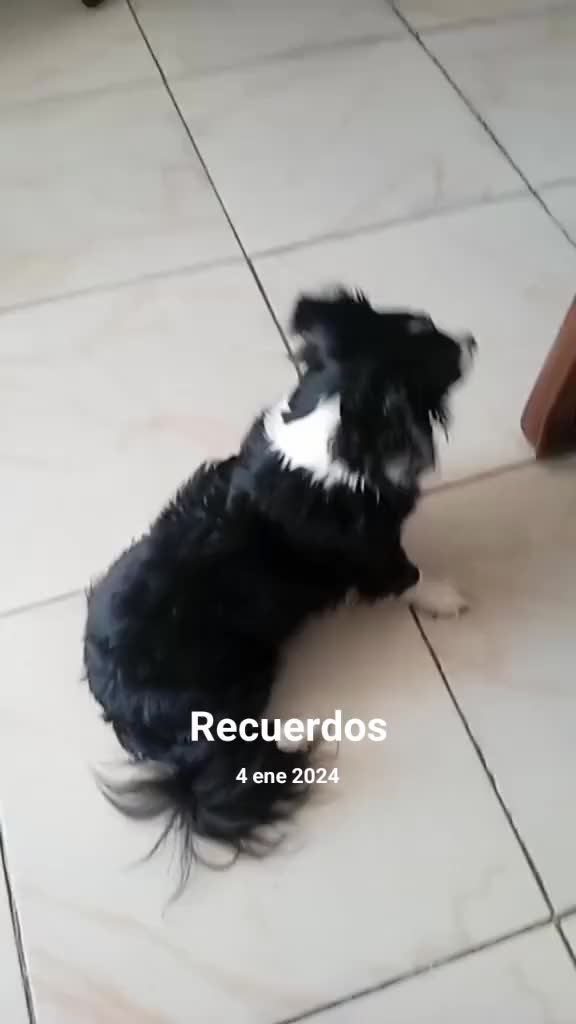 @Awilda Melo