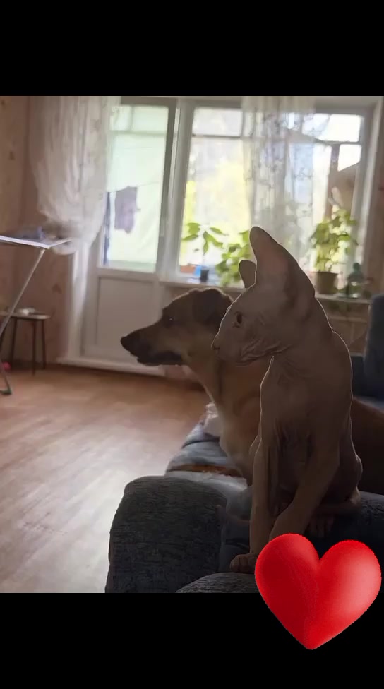 @Ириша