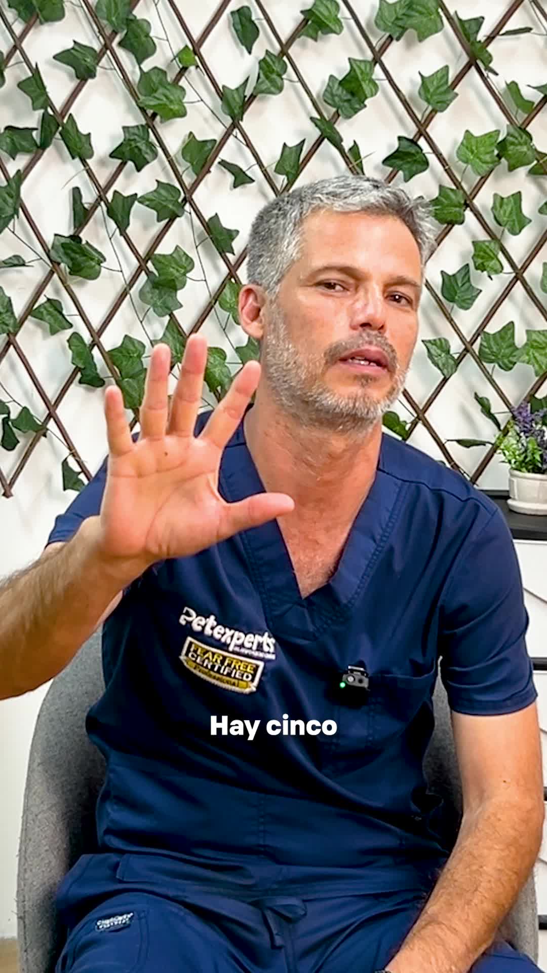 @Pancho Cavero