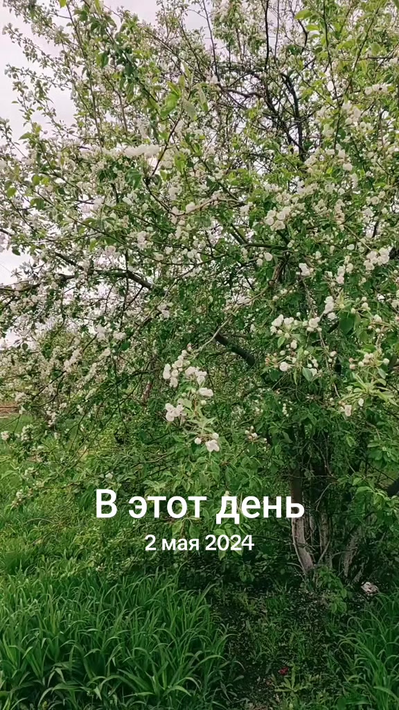 @Энджэ