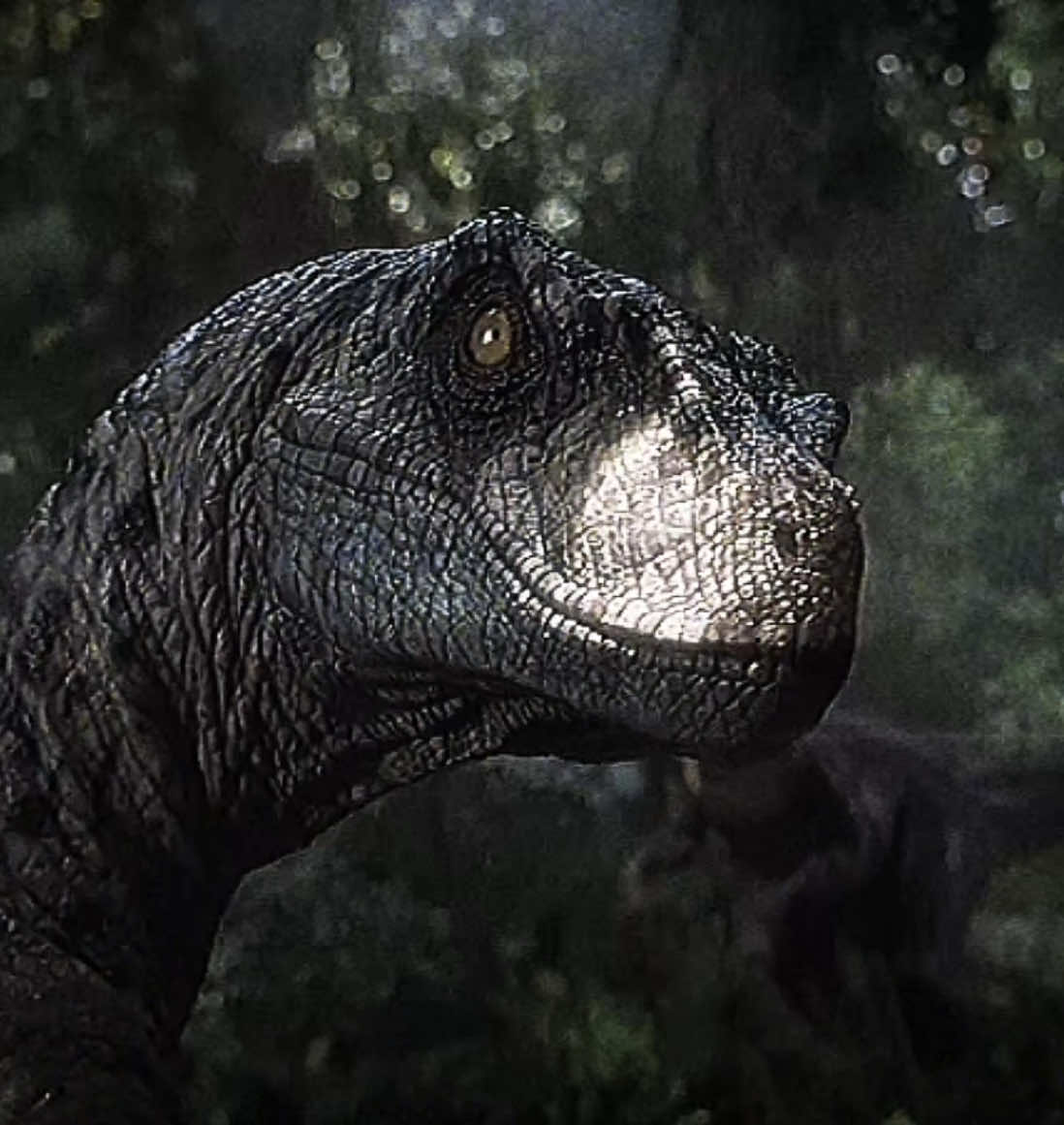 @𝐑𝐞𝐱