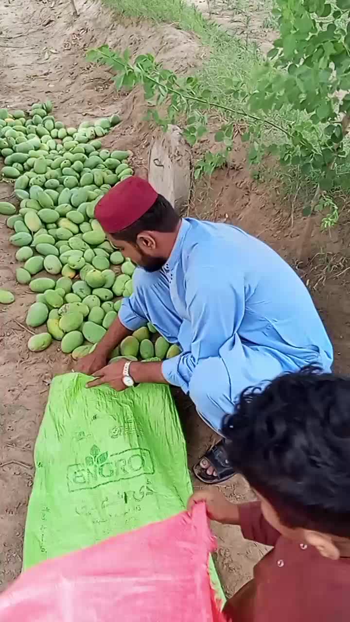 @waqaswaqas58