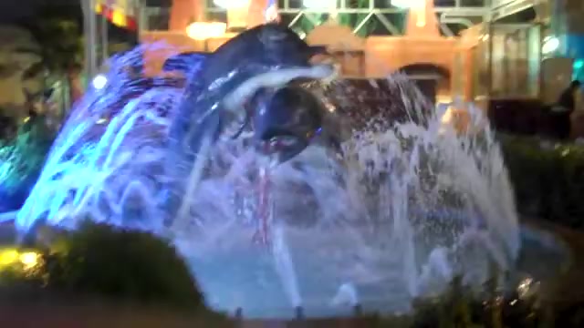 @إنسان يكرهStc