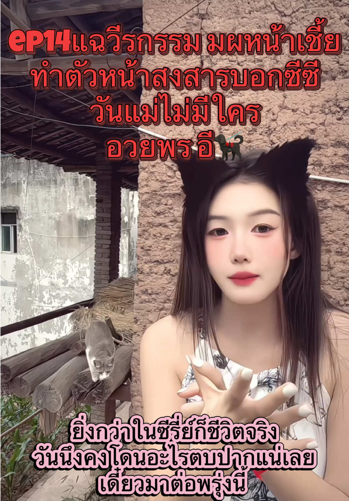@น้องเหมย สะใภ้จีน