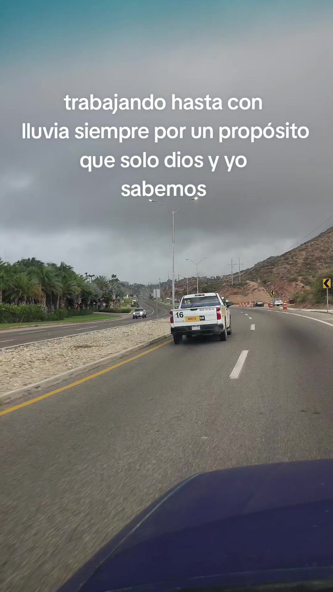@Armando