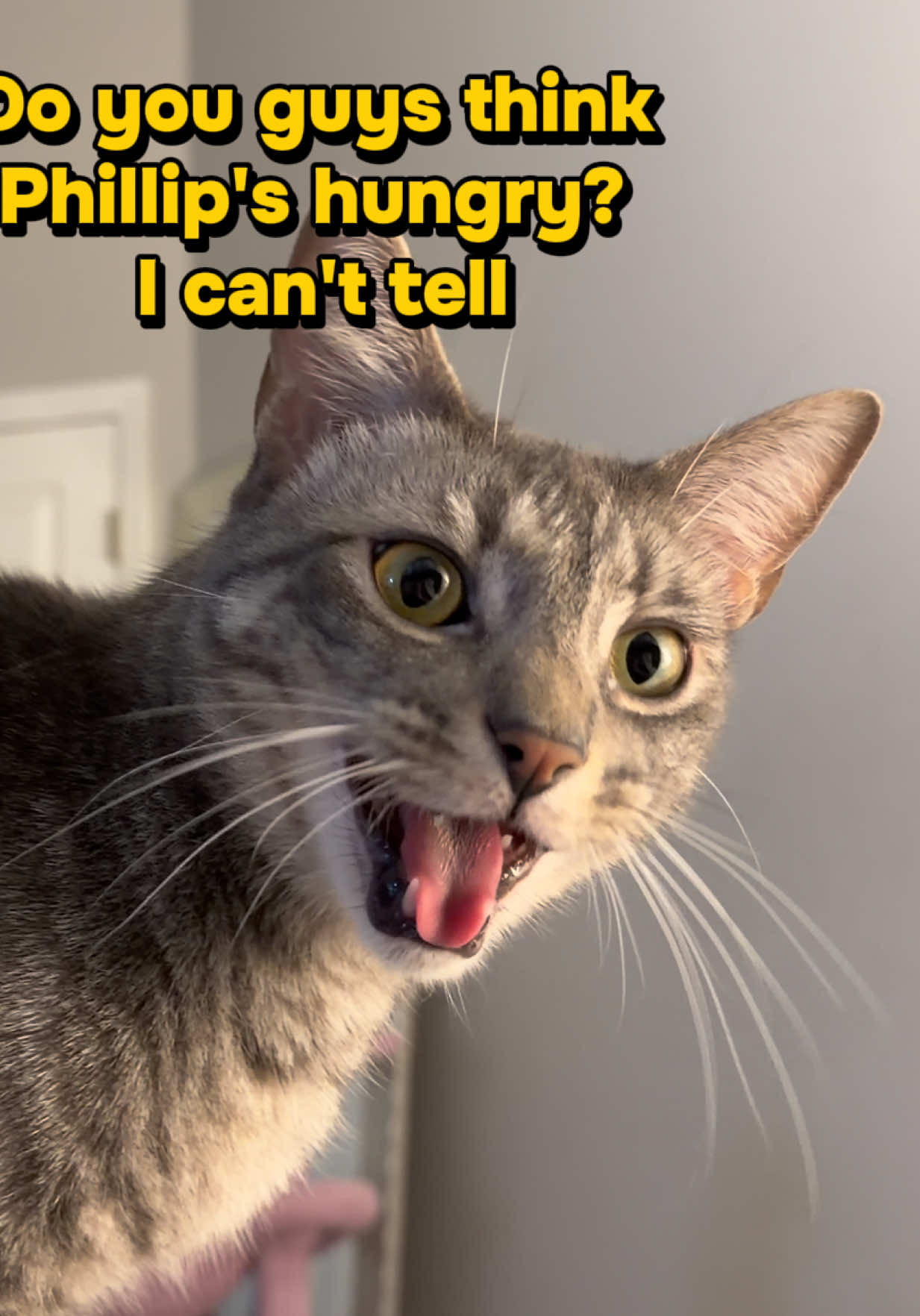 @Michelle