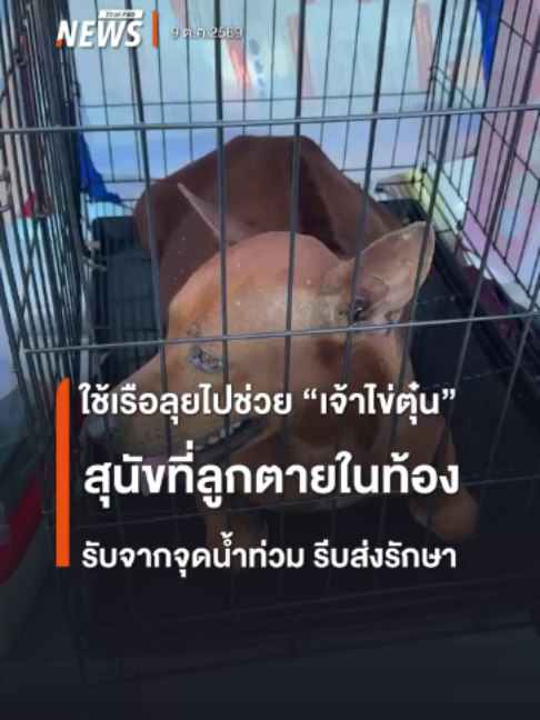 @Thai PBS news